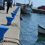 Roses Rt Skioni Ii